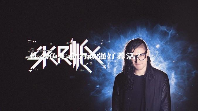 什么鱼生命力顽强好养活？