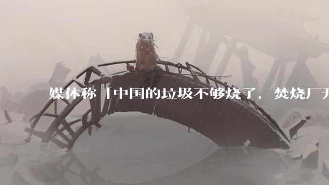 媒体称「中国的垃圾不够烧了，焚烧厂开始抢垃圾」，是真的吗？焚烧垃圾能带来哪些好处？背后有怎样的利益？