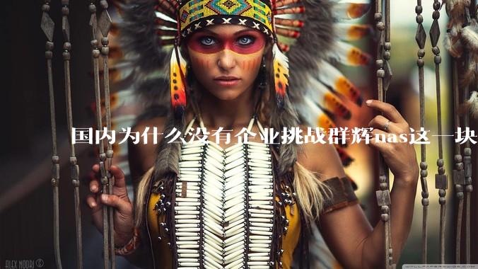 国内为什么没有企业挑战群辉nas这一块市场？