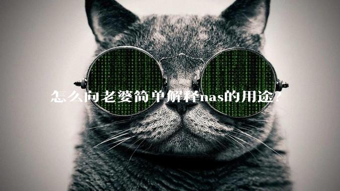 怎么向老婆简单解释nas的用途？