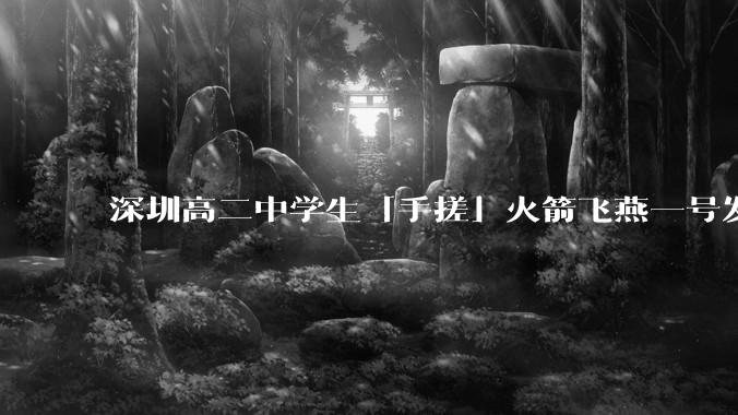 深圳高二中学生「手搓」火箭飞燕一号发射成功，突破 10KM 海拔高度，这属于什么水平？手搓火箭有多难？