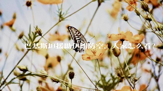 巴基斯坦援助伊朗防空，大家怎么看？