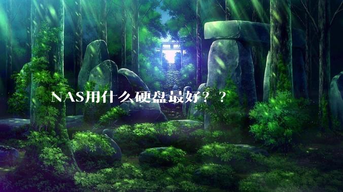 NAS用什么硬盘最好？？