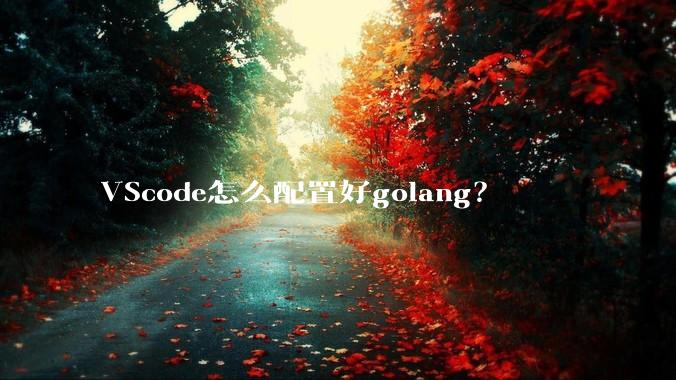VScode怎么配置好golang？