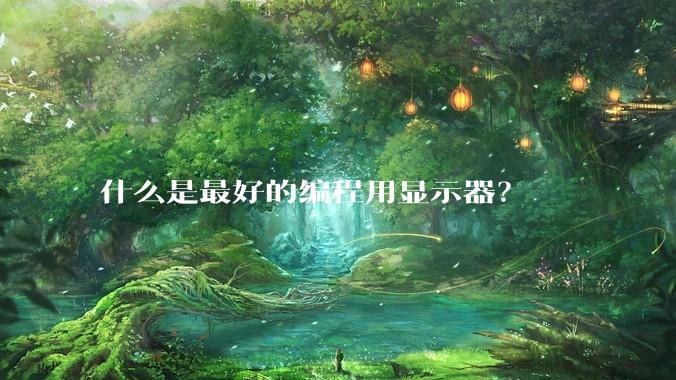 什么是最好的编程用显示器？