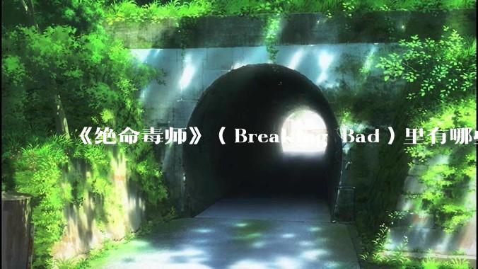 《绝命毒师》（Breaking Bad）里有哪些硬伤？