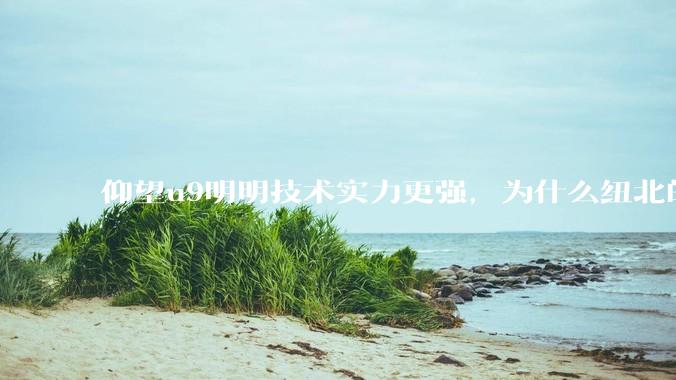仰望u9明明技术实力更强，为什么纽北的成绩没有小米su7ultra好？